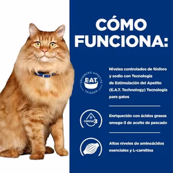 Hills 605680 cats moist food 85 g - Additional view 4