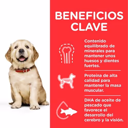 Hills 604387 dogs dry food 14 kg Chicken, Beef, Pork - Additional view 4