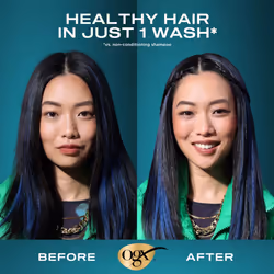 OGX Renewing + Argan Oil of Morocco Shampoo & Conditioner Set  13 Fl Oz (Pack of 2) (packaging may vary)  Blue