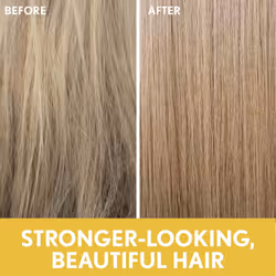 Aveeno Sunflower Oil Blend Conditioner  for Dry Damaged Hair  Dye  Paraben & Sulfate Surfactants Free  12oz