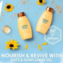 Aveeno Sunflower Oil Blend Conditioner  for Dry Damaged Hair  Dye  Paraben & Sulfate Surfactants Free  12oz