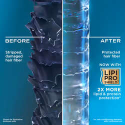 OGX Clarifying Strength + Rosemary Mint Shampoo  Clarifying Shampoo Visibly Helps Remove Oil & Residue to Clear Away Buildup from Oily Hair  Sulfate-F