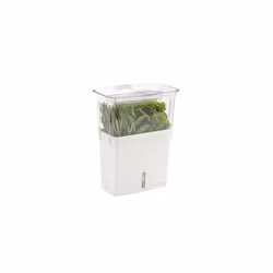 COLE & MASON Fresh Herb Keeper Container Clear