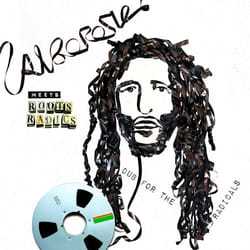ImportCDs Meets Roots Radics: Dub for the Radicals CD R&B