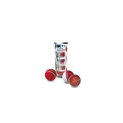 GM Bowling Development Programme 3 Ball Pack for Training, First Ball, Skills Ball, Catalyst Leather Cricket ball BS55