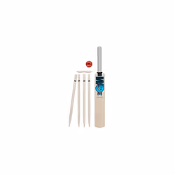 GM Young Gunn Wooden Cricket Bat and Stumps Set