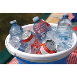 Coghlan's 2081 Folding Bucket, Blue, One size