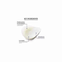 Healing Ointment 50 ml