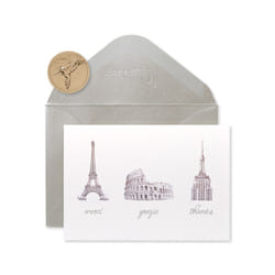 Papyrus Thank You Cards with Envelopes  World Icons (14-Count)