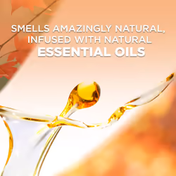 Air Wick Plug in Scented Oil 5 Refills, Pumpkin Spice, Fall Scent, Fall Spray, (5x0.67oz), Essential Oils, Air Freshener