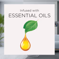 Air Wick Essential Mist Refill  2ct  Refreshing Watermelon & Berries  Air Freshener  Essential Oils