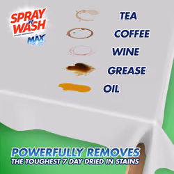 Spray 'N Wash Max Laundry Strain Remover 16 oz  Packaging may vary