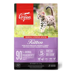 Orijen kitten formula