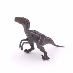 Papo The Dinosaur Figure  Velociraptor