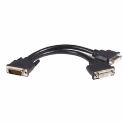 StarTech.com 8in LFH 59 Male to Dual Female DVI I DMS 59 Cable, 0.2 m, DMS, 2x DVI-I, Male, Female, Straight
