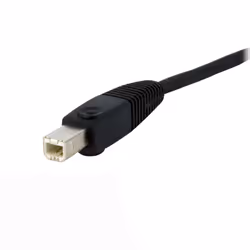 StarTech.com KVM Cable for DVI and USB KVM Switches with Audio & Microphone - 6ft - Additional view 7