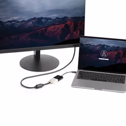 StarTech.com USB C to DVI Adapter - Black - 1920x1200 - USB Type C Video Converter for Your DVI D Display/Monitor/Projector - Upgraded Version is CDP2DVIEC - Additional view 5