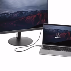 StarTech.com 3ft/1m USB C to DisplayPort 1.2 Cable 4K 60Hz - USB-C to DisplayPort Adapter Cable - HBR2 - USB Type-C DP Alt Mode to DP Monitor Video Cable - Works w/ Thunderbolt 3 - Black - Additional view 5