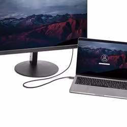 StarTech.com 6.6 ft. (2m) USB-C to DVI Cable - 1920 x 1200 - Black - Additional view 6
