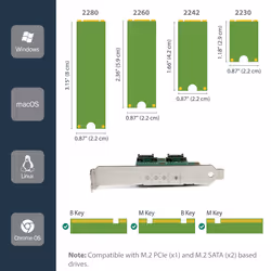 StarTech.com 3-Port M.2 SSD (NGFF) Adapter Card - 1 x PCIe (NVMe) M.2, 2 x SATA III M.2 - PCIe 3.0 - Additional view 8