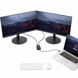 StarTech.com USB 3.0 to Dual DisplayPort Adapter - 4K 60Hz - Additional view 5