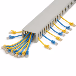 StarTech.com Open Slot Cable Management Raceway with Cover, 3"(75mm)W x 2"(50mm)H - 6.5ft(2m) length - 1/4"(8mm) Slots, PVC Network Cable Hider/Wall Wire Duct, Max 180 Cables, UL Listed