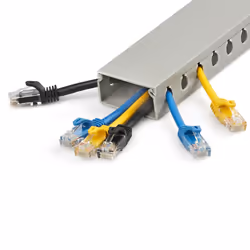 StarTech.com Open Slot Cable Management Raceway with Cover, 2"(50mm)W x 1"(25mm)H - 6.5ft(2m) length - 1/4"(8mm) Slots, PVC Network Cable Hider/Wall Wire Duct, Max 25 Cables, UL Listed