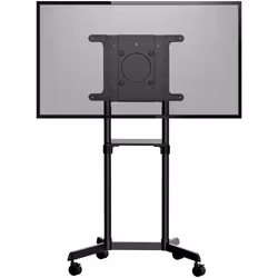 StarTech.com Mobile TV Cart - Portable Rolling TV Stand for 37-70" VESA Display (154lb/70kg) - TV Stand w/Shelf & Storage Compartment - Rotate/Tilt Display - Universal TV Mount on Wheels - Additional view 4