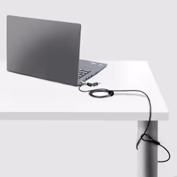 StarTech.com Nano Laptop Cable Lock, 6ft (2m), Anti-Theft Keyed Lock, Security Cable Locks Nano Slot Notebooks, For EliteBook/LenovoX1/2-1 Laptops, Cut-Resistant, Steel Cable Lock For Laptop - Additional view 7