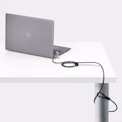 StarTech.com Universal Laptop Lock 6.6ft (2m), Security Cable For Notebook Compatible With Noble Wedge®/Nano/K-Slot; Keyless Combination Locking Cable, Anti-Theft Cut-Resistant Steel Cable - Additional view 4