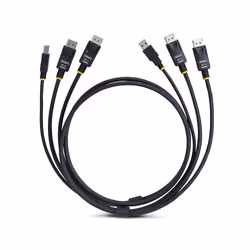 StarTech.com 6ft (1.8m) Dual-DisplayPort and USB 5Gbps KVM Cable, 4K 60Hz, DP 1.2 and USB Combo Cable for Dual-Monitor KVM Switches