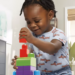 MEGA BLOKS First Builders Big Building Bag, Building set, 1 yr(s), Plastic, 60 pc(s), 969.8 g