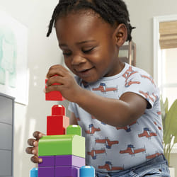 MEGA BLOKS First Builders Big Building Bag
