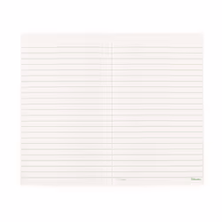 Blueline A385 writing notebook 100 sheets