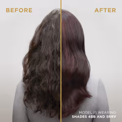 Clairol Professional Permanent Crme Hair Color 2n Dark Neutral Brown