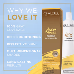 Clairol Professional Permanent Crme Hair Color 12g High Lift Gold Blonde