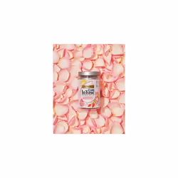 Cold Infuse Rose Lemonade, New Improved Taste, 72 Teabags (Multipack of 6 x 12 Infusers)