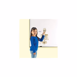 Learning Resources Double-Sided Magnetic Human Body  3 Foot Tall  17 P