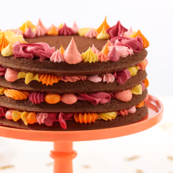 Wilton Easy Layers! Round Layer Cake Pans Set, 4-Piece