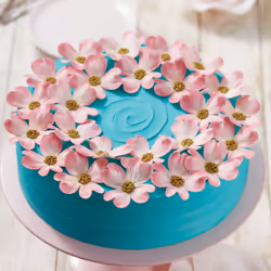 Wilton Aluminum Bakeware Round Cake Pan 10x3 Inch