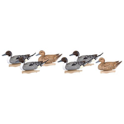 Flambeau Outdoors 8022SUV Storm Front 2 Pintail Decoys  classic Floaters - 6-Pack
