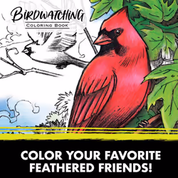 Crayola Bird Coloring Book (40pgs)  Adult Coloring Pages  8.5 x 10  Stress Relieving Coloring  Mindfulness Activity for Adults