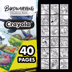 Crayola Bird Coloring Book (40pgs)  Adult Coloring Pages  8.5 x 10  Stress Relieving Coloring  Mindfulness Activity for Adults