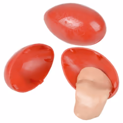 The Toy Network Silly Putty Original Squishy
