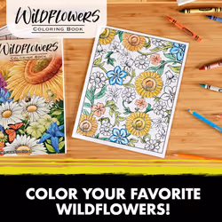 Crayola Wildflower Coloring Book (40 Pages)  Premium Adult Coloring Pages  for Stress Relief and Relaxation  Gift for Adults