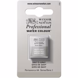 Winsor Newton Professional Watercolor Half Pan Davys Gray