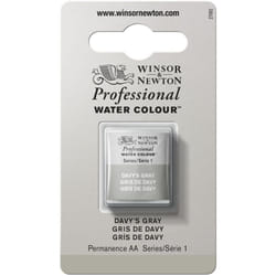 Winsor  Newton Professional Watercolor  Half Pan  Davys Gray