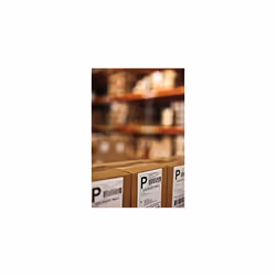 DYMO Authentic LW Extra-Large Shipping Labels for LabelWriter Label Printers  White  4'' x 6''  2 Pack  440 Labels Total (1744907)