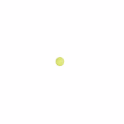 Penn Championship Tennis Balls - Extra Duty Felt Pressurized Tennis Balls - 12 Cans  36 Balls