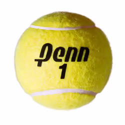 Penn Championship Tennis Balls - Extra Duty Felt Pressurized Tennis Balls - 24 Cans  72 Balls